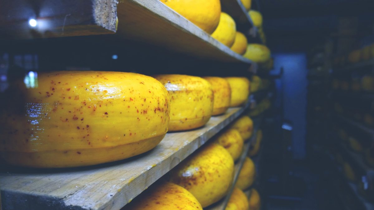 奶酪养护环境控制的关键控制点