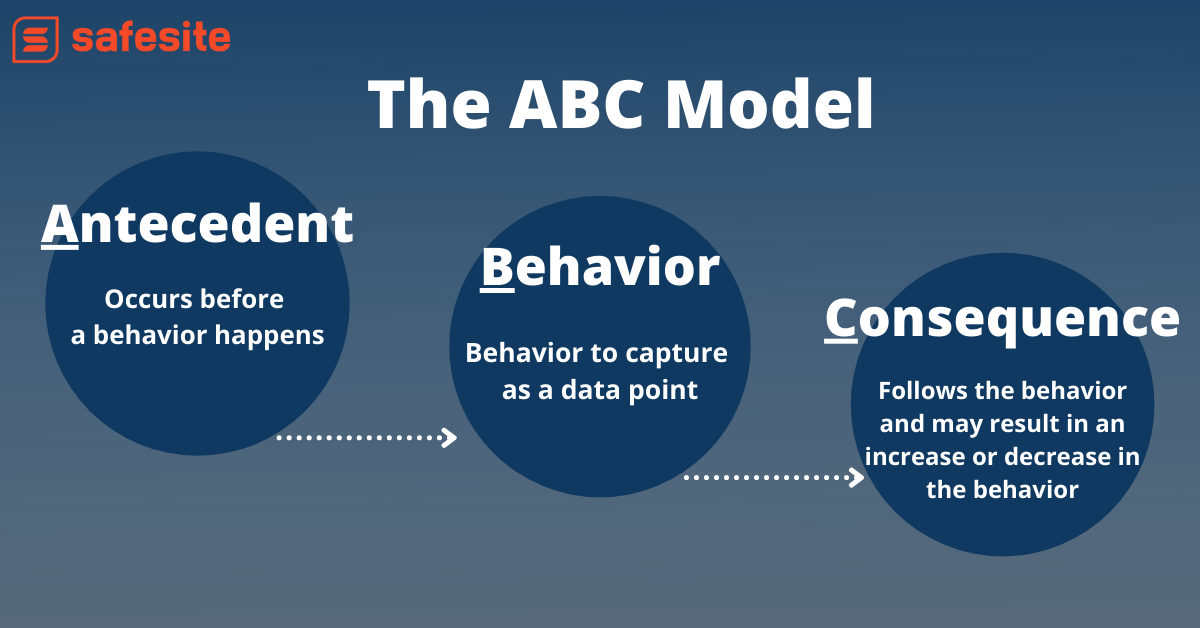 Abc模型